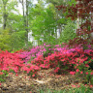 Meet your Posher, Gentry